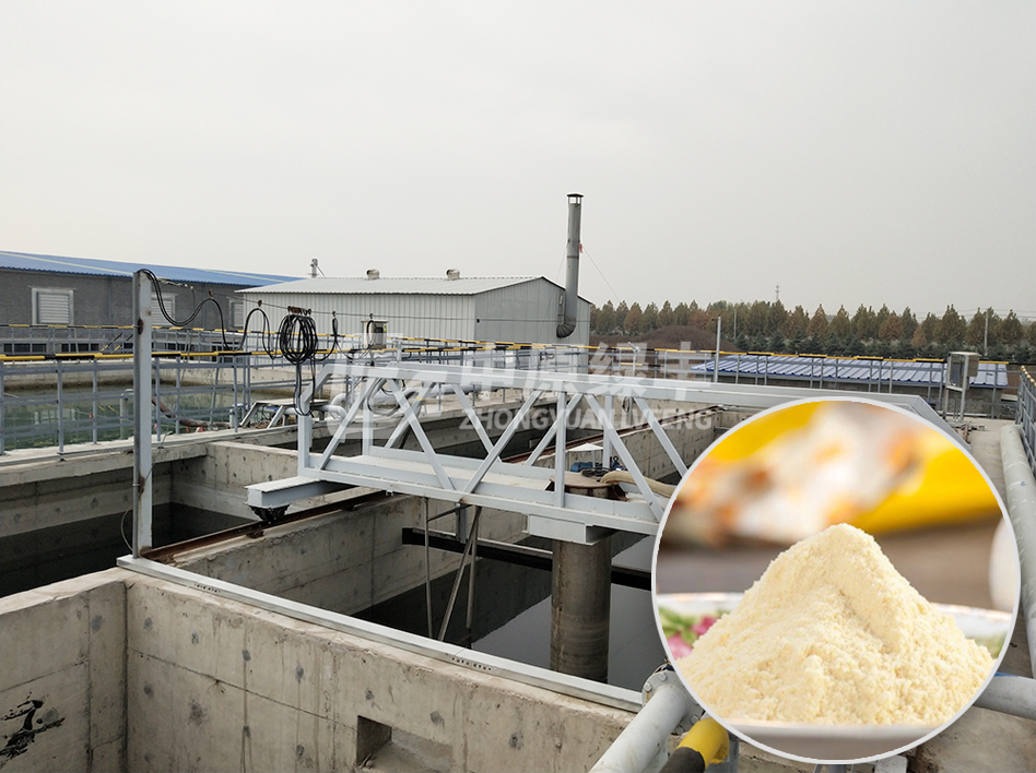 豆奶粉生產廢水處理工程